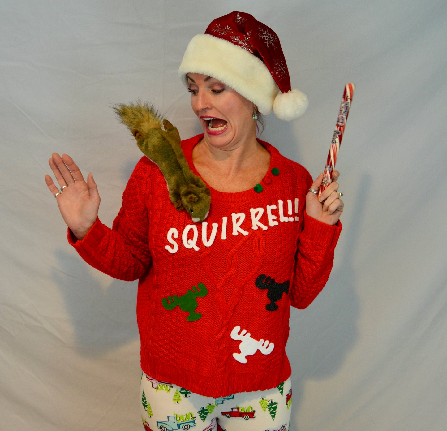 Ugly Christmas Sweater, Squirrel, Clark Griswold, National Lampoons Christmas vacation inspired, women's, stuffed squirrel, multi size