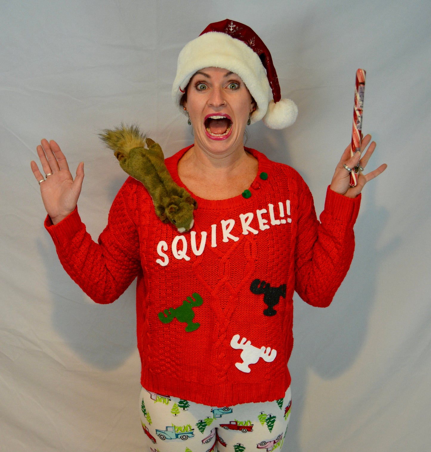 Ugly Christmas Sweater, Squirrel, Clark Griswold, National Lampoons Christmas vacation inspired, women's, stuffed squirrel, multi size