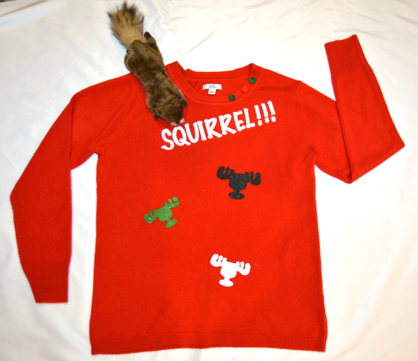 Ugly Christmas Sweater, Squirrel, Clark Griswold, National Lampoons Christmas vacation inspired, women's, stuffed squirrel, multi size